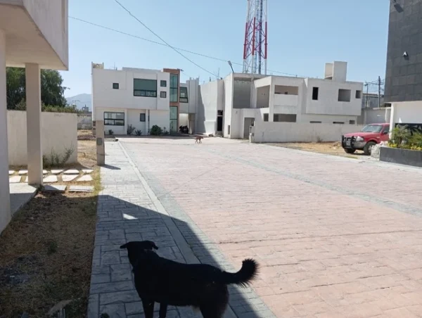 Lotes desde 123m2 costado Walmart Ojo de Agua Tecamac