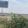 Terreno Pachuca 21000m2