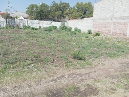 9ozu Lote Ozumbilla Centro